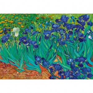 Van Gogh - Irises - 1000 pz - Bluebird 60006