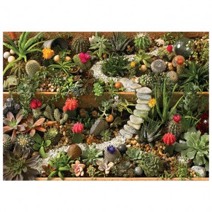Puzzle: Succulent Garden - 1000 pz - Cobble Hill 80157