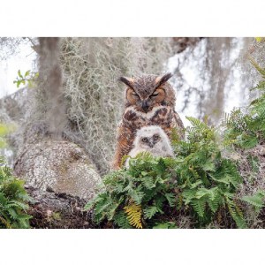 Puzzle: Great Horned Owl - 1000 pz - Cobble Hill 80246