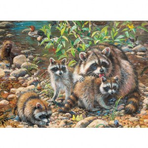 Puzzle: Raccoon Family - 350 pz - Cobble Hill 54607