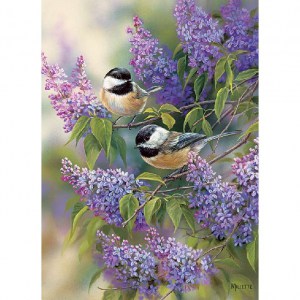 Puzzle: Chickadees and Lilacs - 1000 pz - Cobble Hill 80112