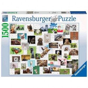 Puzzle: Collage di animali divertenti - 1500 pz - Ravensburger 16711 - Box