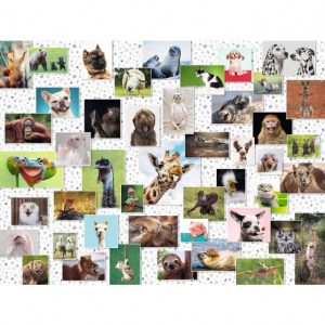 Puzzle: Collage di animali divertenti - 1500 pz - Ravensburger 16711