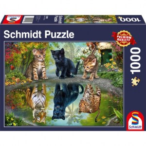 Puzzle Dream Big! - 1000 pz - Schmidt 57392 - box
